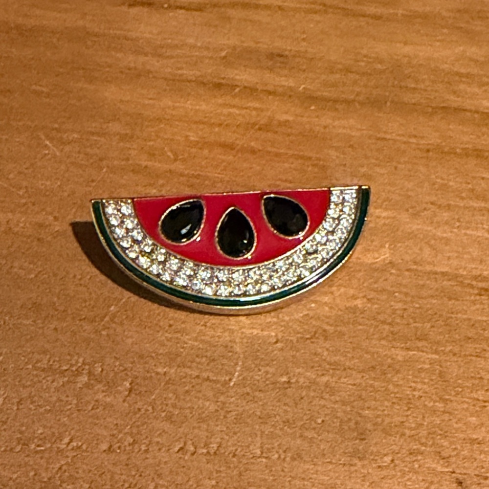 Watermelon Slice Brooch with Red and Black Accents